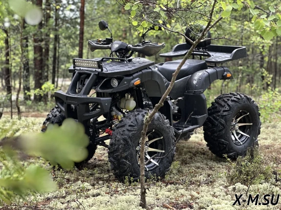 Квадроцикл PROMAX 320 DOMINATOR