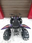 Квадроцикл PROMAX RAPTOR 320 RedBull