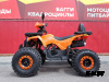 Квадроцикл PROMAX WILD 2.0 190 LUX