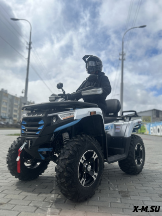 Квадроцикл MOTOLAND (МОТОЛЕНД) 300 MAX X (с ПСМ)