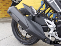 Мотоцикл MOTOLAND (МОТОЛЕНД) 250 MT250 (172FMM-5/PR250)