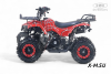 Квадроцикл RIVERTOYS TIGER