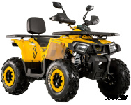 Квадроцикл MOTOLAND (МОТОЛЕНД) VOX200 WILD TRACK X (баланс. вал)