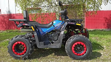 Квадроцикл PROMAX WILD 300 LUX "АНТИВИБРАЦИОННЫЙ"