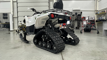 Зимний комплект для квадроциклов ATV PROMAX/GBM и т.д 150-300 (лыжи и гусеницы) D24,8-24T